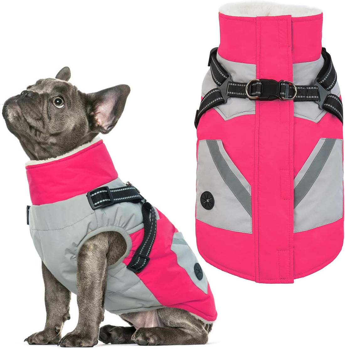 Dog Winter Coat Waterproof - Orange,Medium