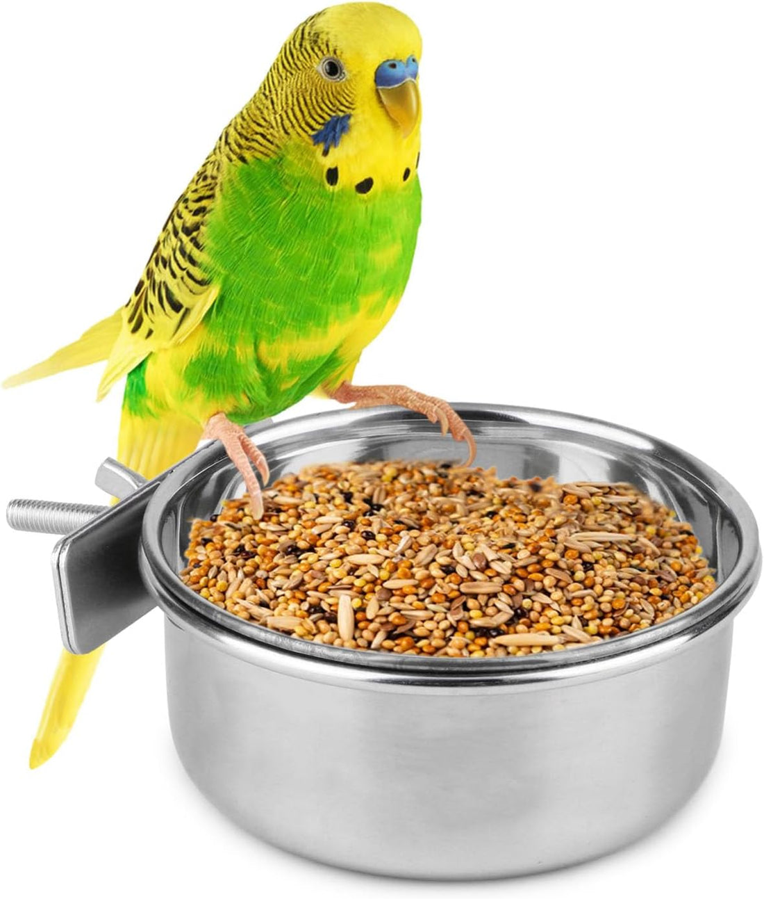 Hypeety Automatic Bird Feeder No Mess Parakeet Cage Seed Food