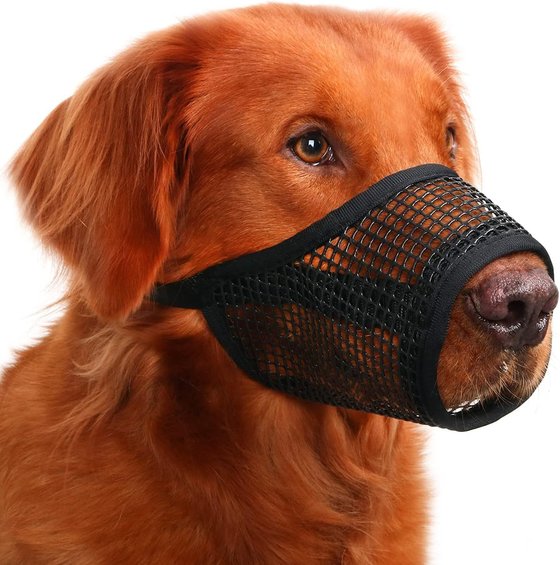 Mayerzon Dog Muzzle, Soft Mesh Muzzles for Small Dogs Biting | Black