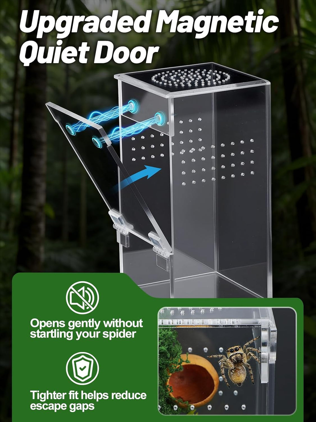Escape-Proof One-Piece Jumping Spider Enclosure Accessories