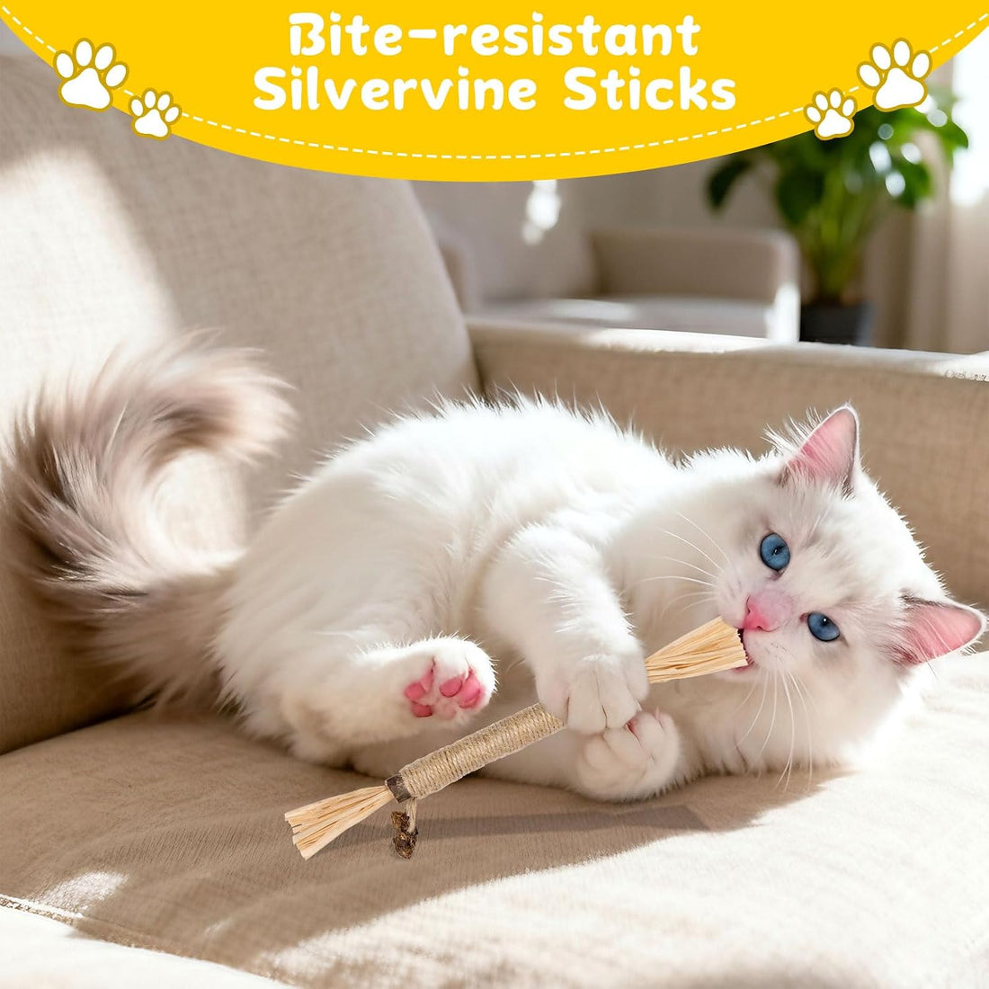 9 Pack Silvervine Sticks for Cats, Natural Cat Chew Stick Toys Set