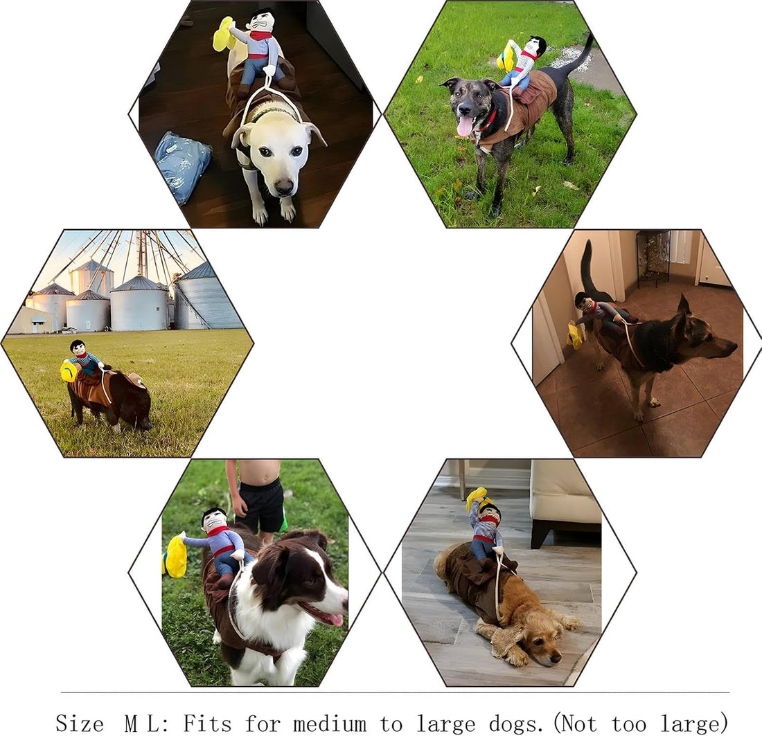 NACOCO Cowboy Rider Dog Costume for Dogs Clothes Knight Style