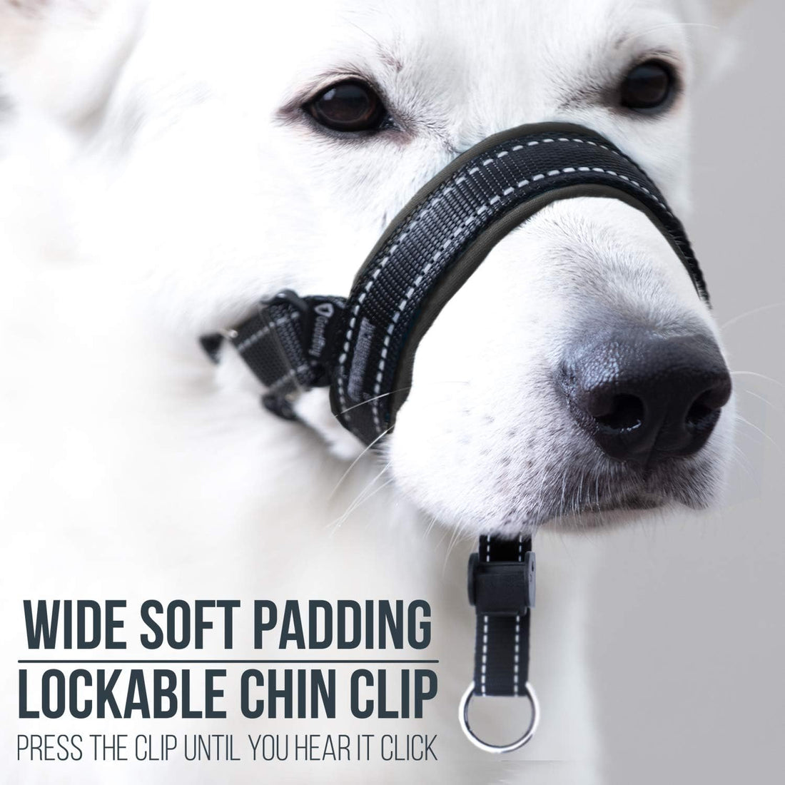 GoodBoy Dog Head Halter with Safety Strap