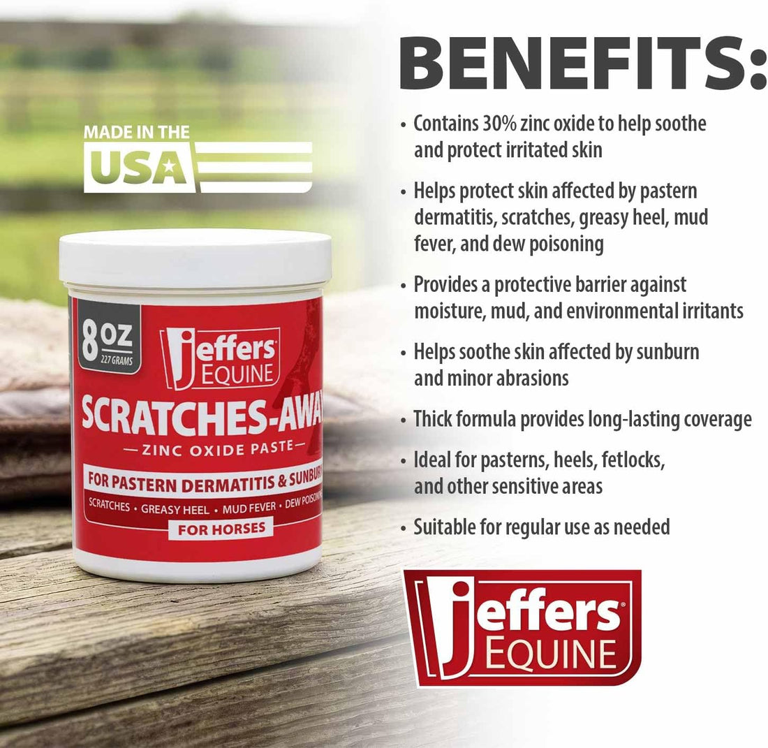 Jeffers Equine Scratches Away 30% Zinc Oxide Paste for Horses