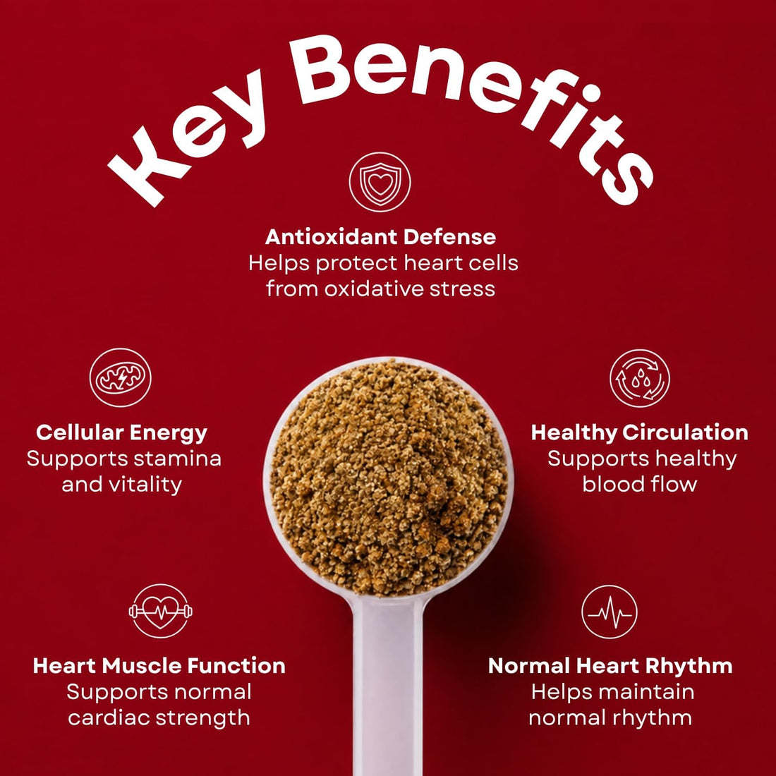 Heart Support Granules for Dogs – Vet-Formulated
