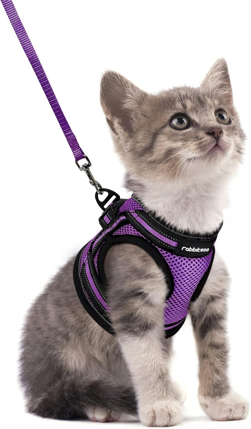 rabbitgoo Cat Harness and Leash