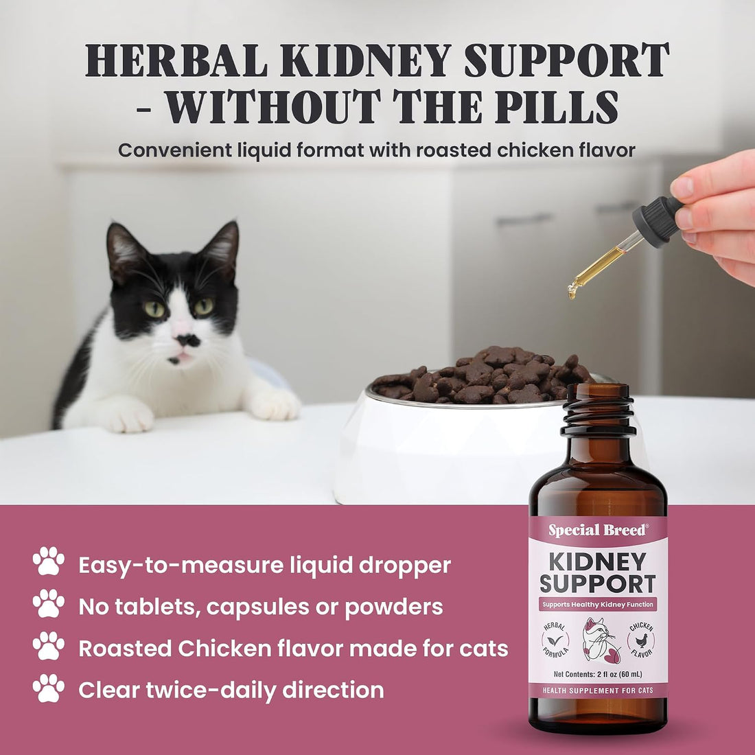 Special Breed Kidney Support for Cats - Rehmannia & Astragalus Liquid