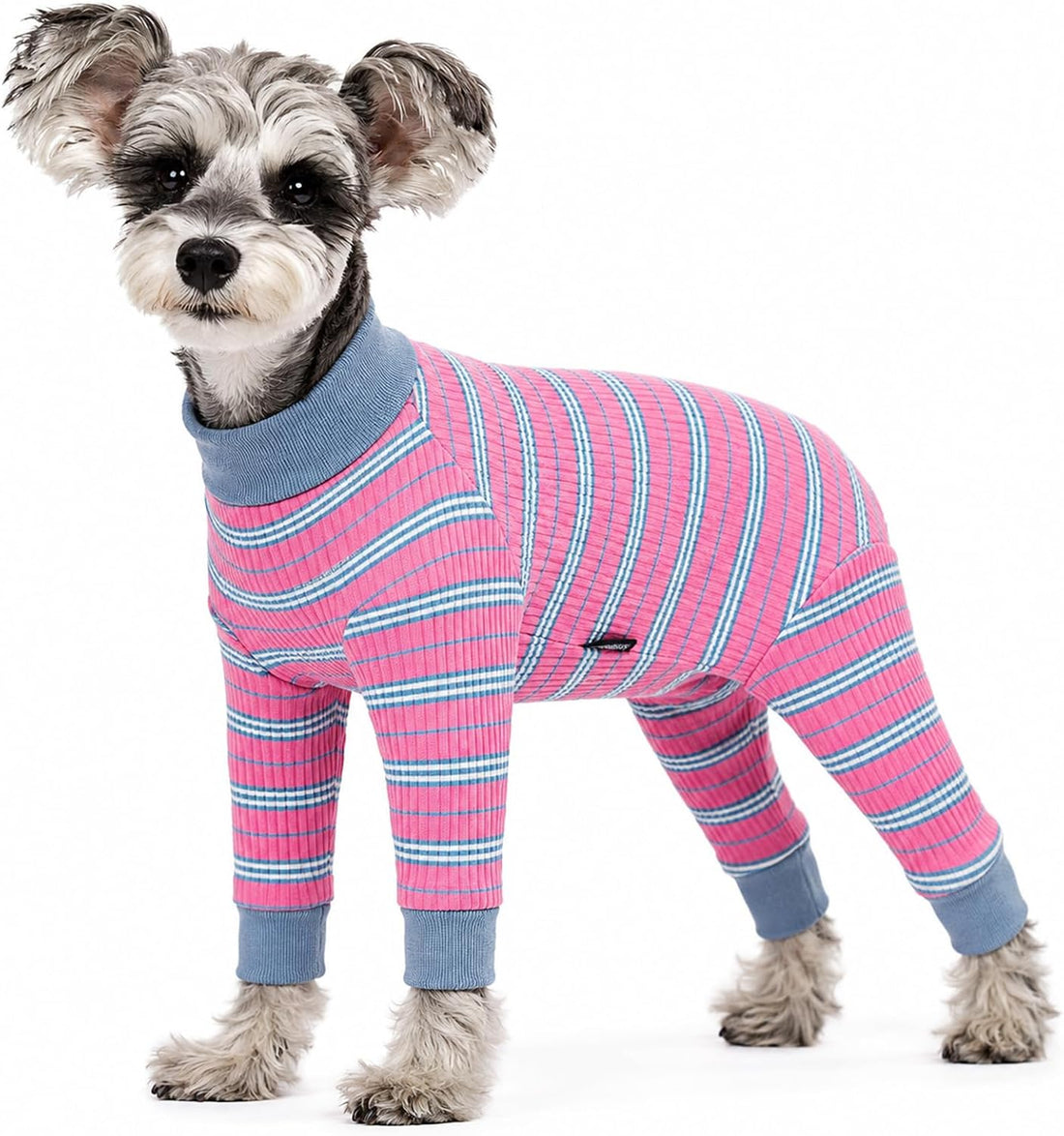Dog Surgery Recovery Suit, Four-Leg Long Sleeve Dog Onesie