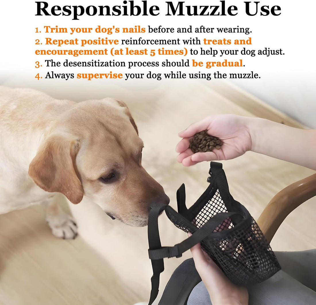 Crazy Felix Mesh Covered Dog Muzzle for Small Medium Large Dog Anti