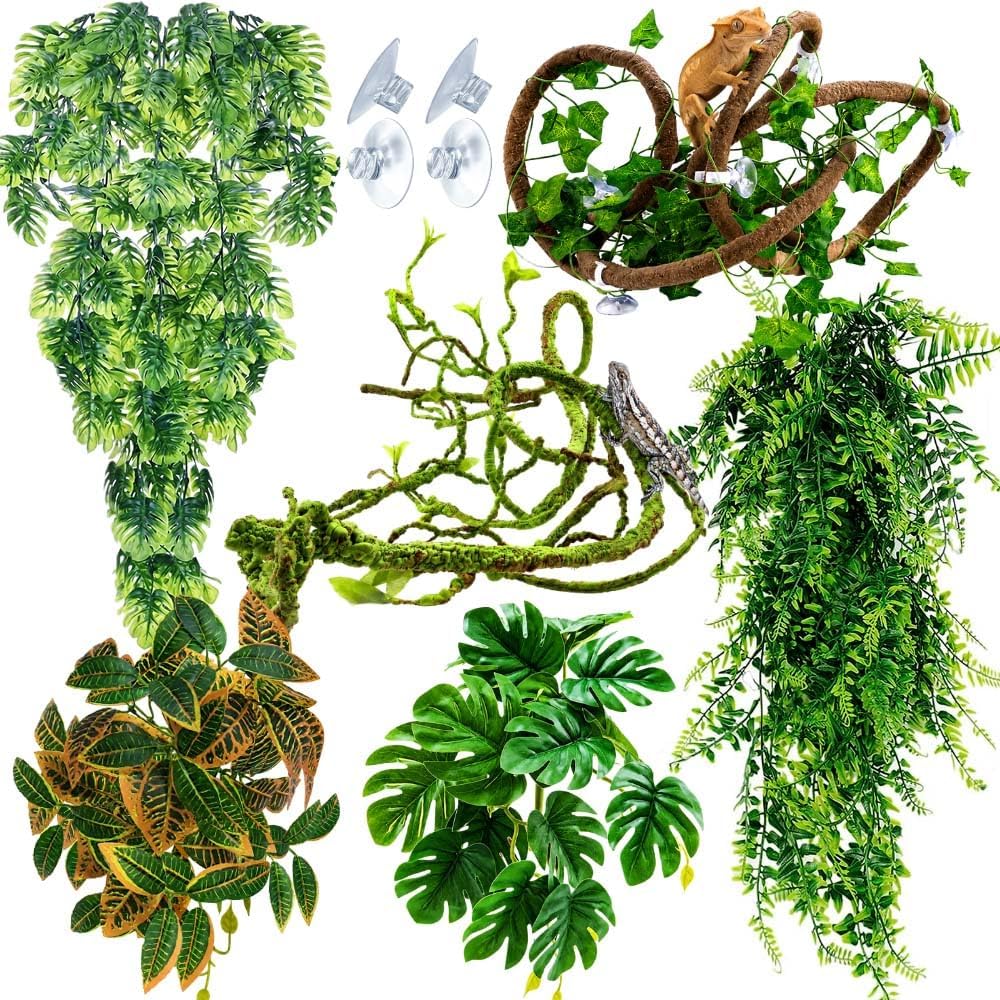 Reptile Plants for Terrarium Tank