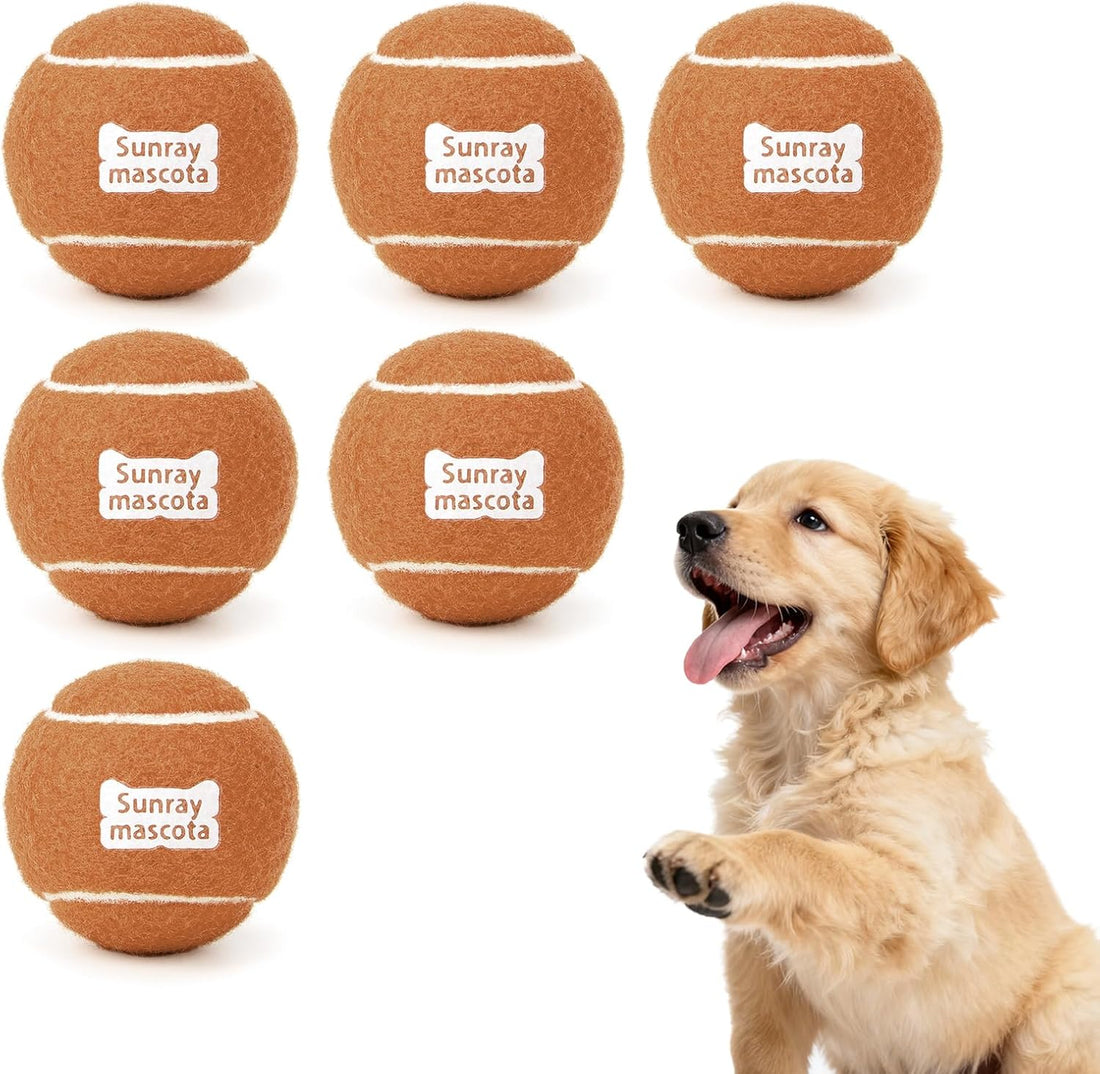 Sunraymascota 6-Pack Tennis Balls for Dogs Fetch Toys,for Beginner