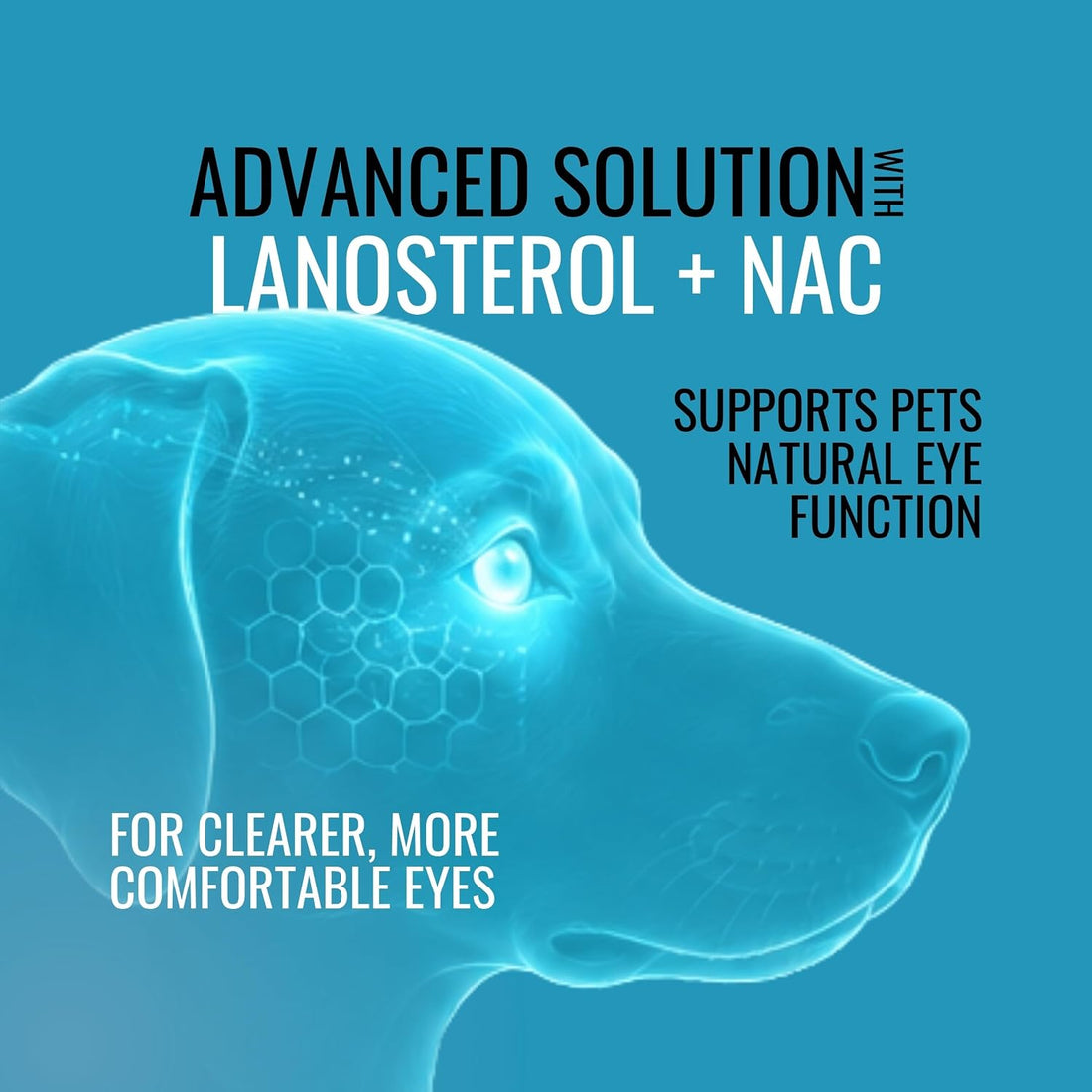 NOVEHA Pet Drops | Advanced Lanosterol Solution + NAC (2 x 10 mL)