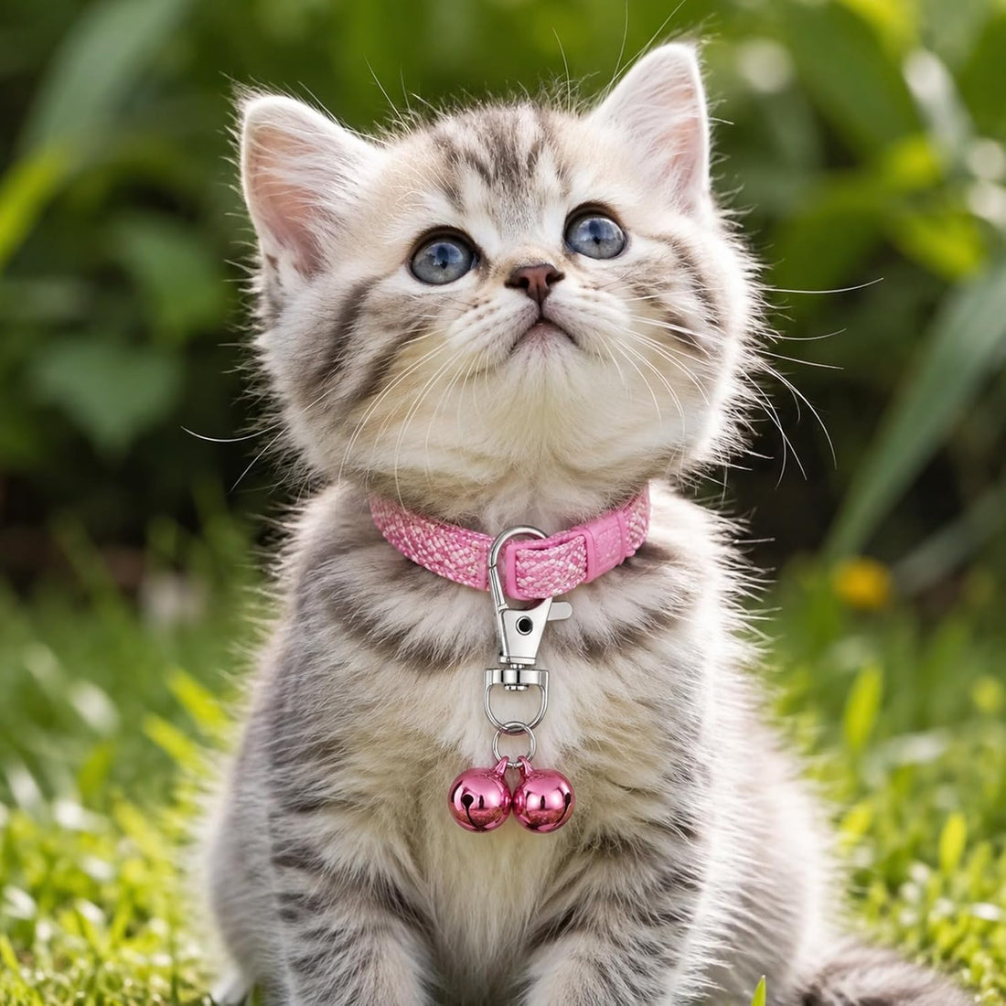 2 Pcs Cat Bell for Dog Collar Charm Training Bells for Dog Collars