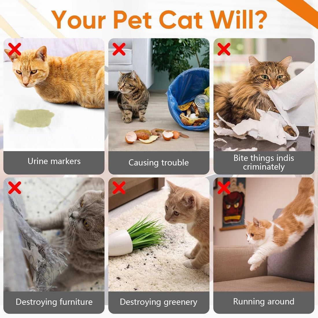 Cat Deterrent Spray 2 Pack, Natural Non-Toxic Plant Based
