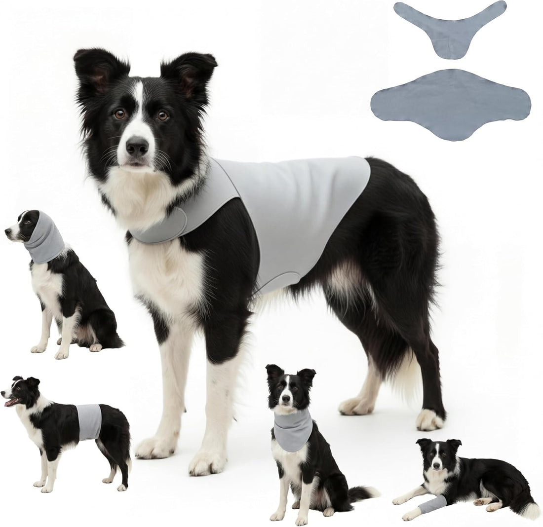 Dog & Cat Surgery Recovery Suit and Anxiety Wrap