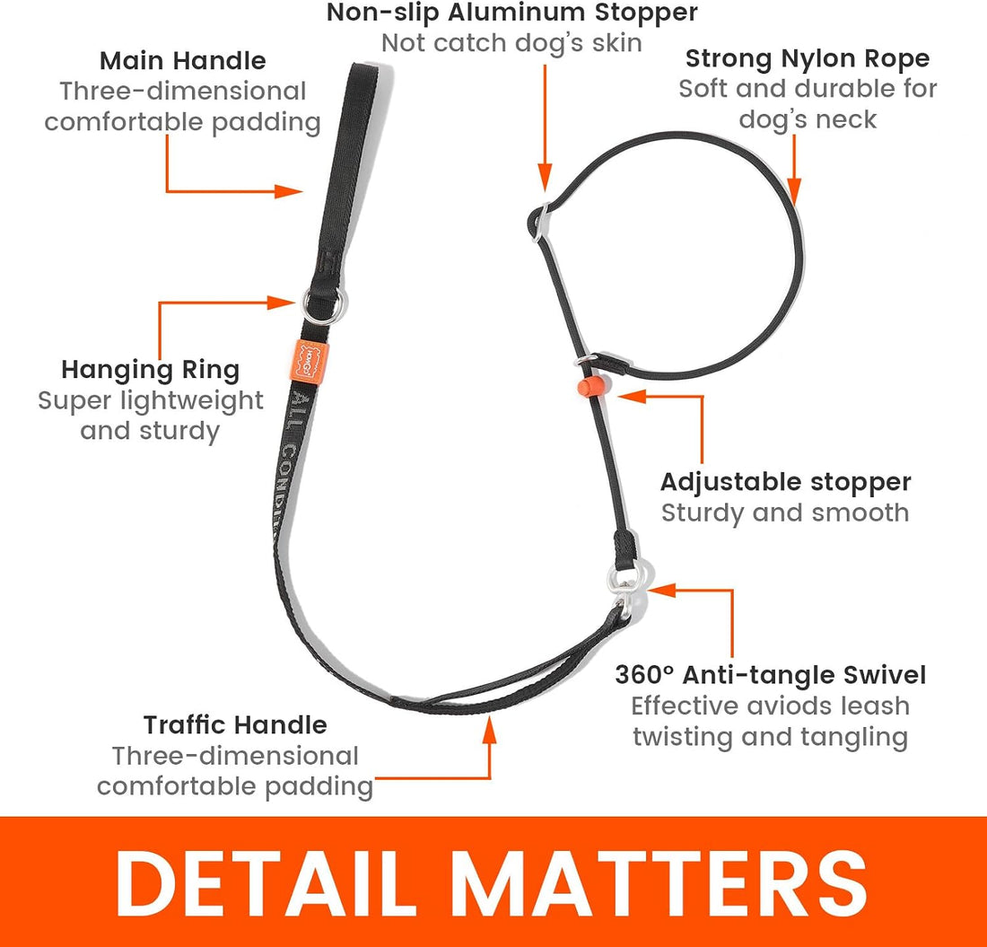 HowGo Slip Lead Dog Leash, 360°Swivel Anti-Tangle