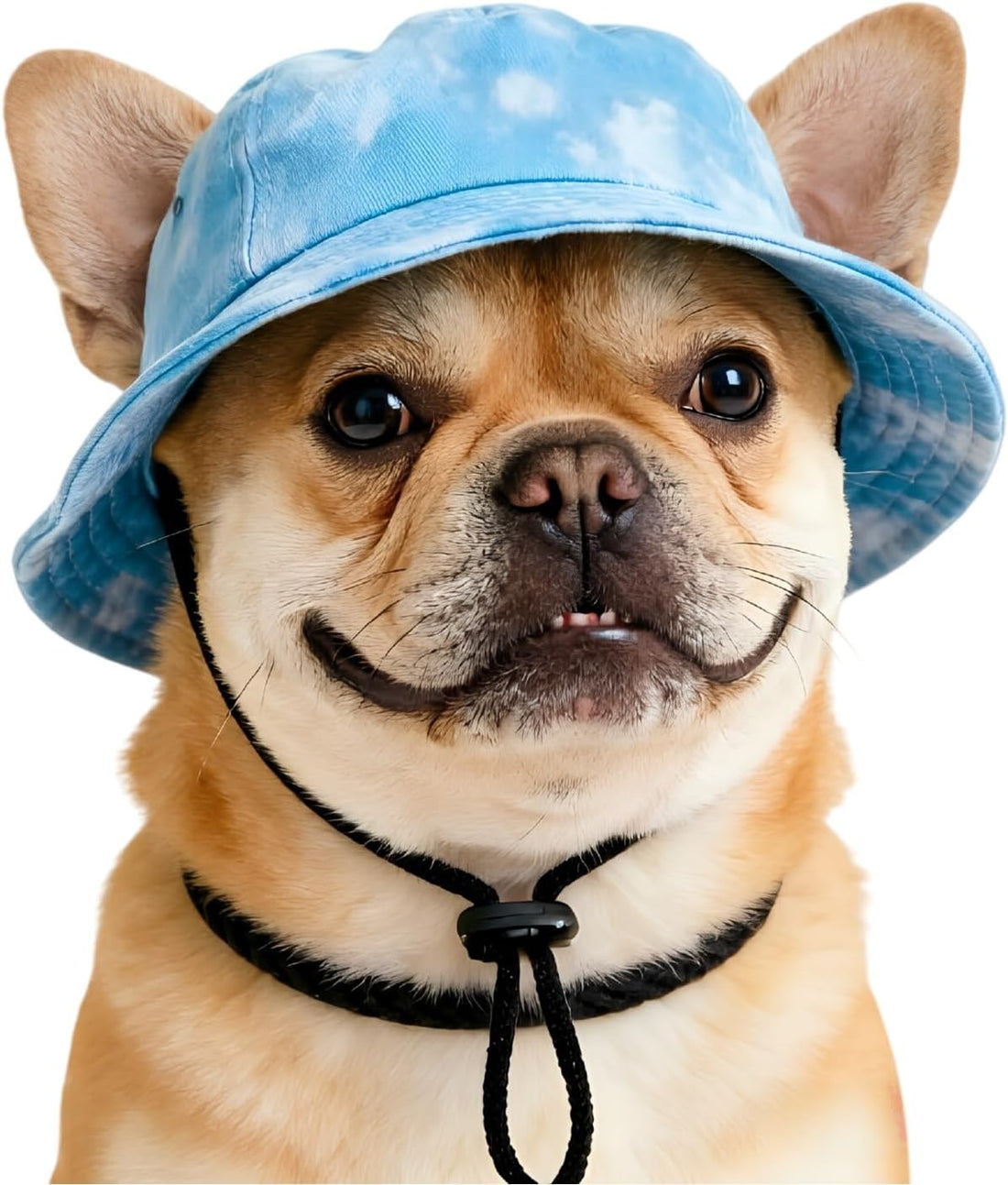 Dog Bucket Hat with Ear Holes, Adjustable Summer Sunscreen Cap