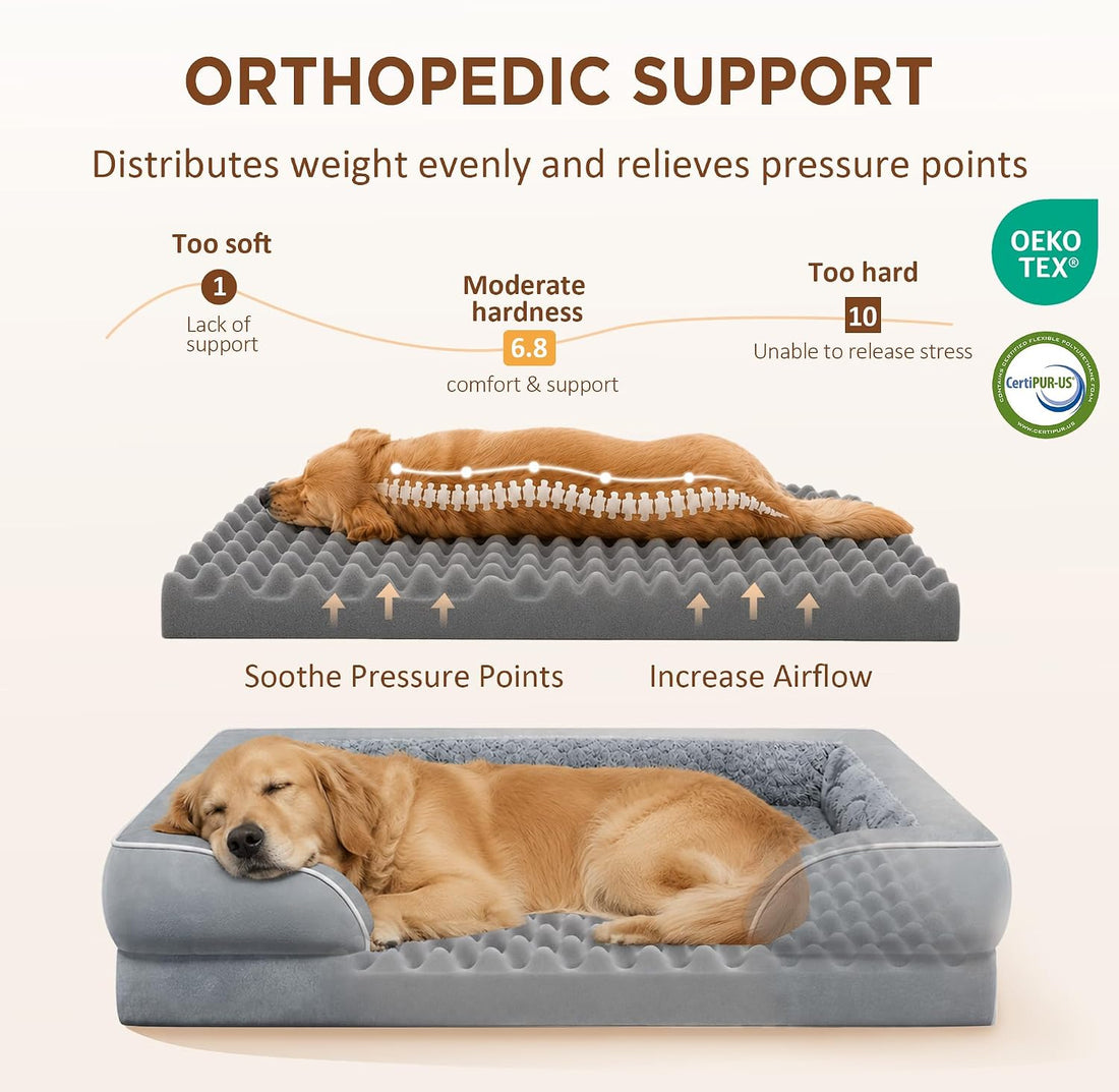 Comfort Expression Orthopedic Dog Bed for Extra Large Dogs 42x30 Inch