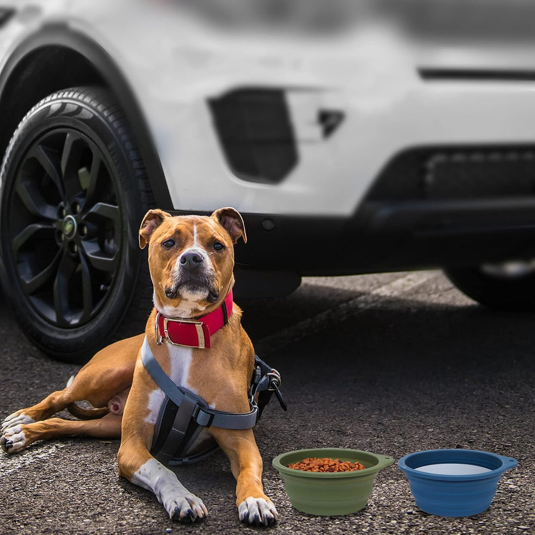 SLSON 2Pack Collapsible Dog Bowl,Integrated Molding Travel Bowl No