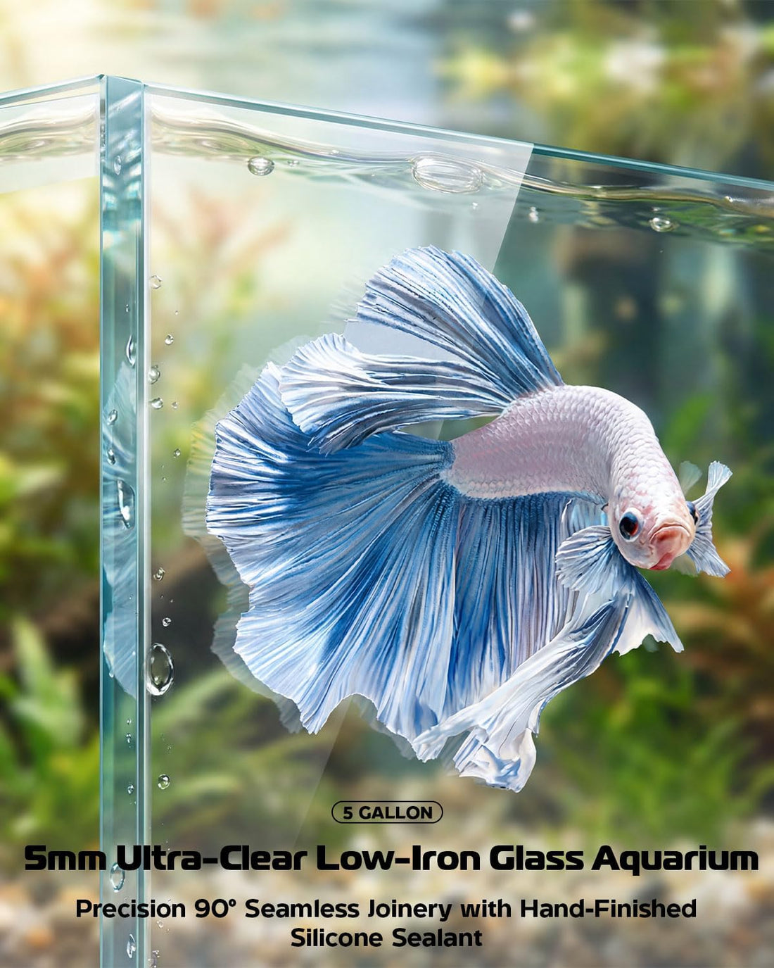 5 Gallon Glass Aquarium Starter Kit, Rimless Fish Tank