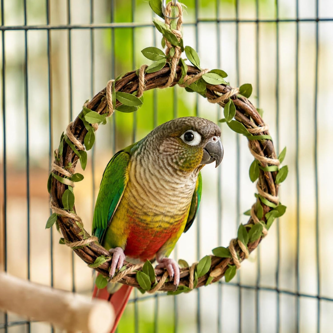 2Pcs Bird Swing Climbing Perch Parakeet Standing Toys Parrot Cages