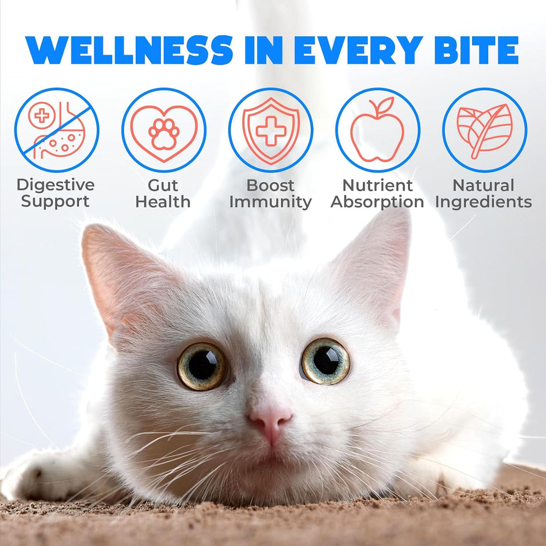 Probiotic Chews for Cats, 200 Count, Digestive, Gut Health Support