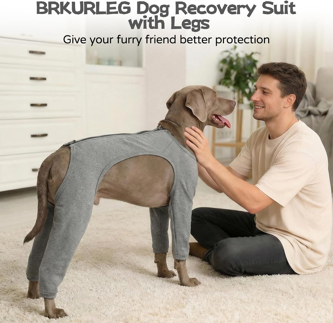 BRKURLEG 4-Leg Dog Recovery Suit, Anti-Licking Surgical Onesie