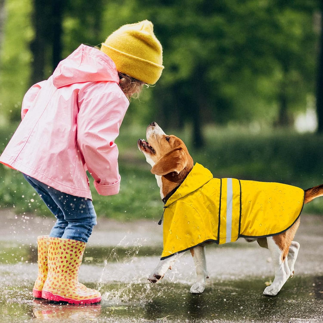Dolitego Fashion Hooded Dog Raincoat