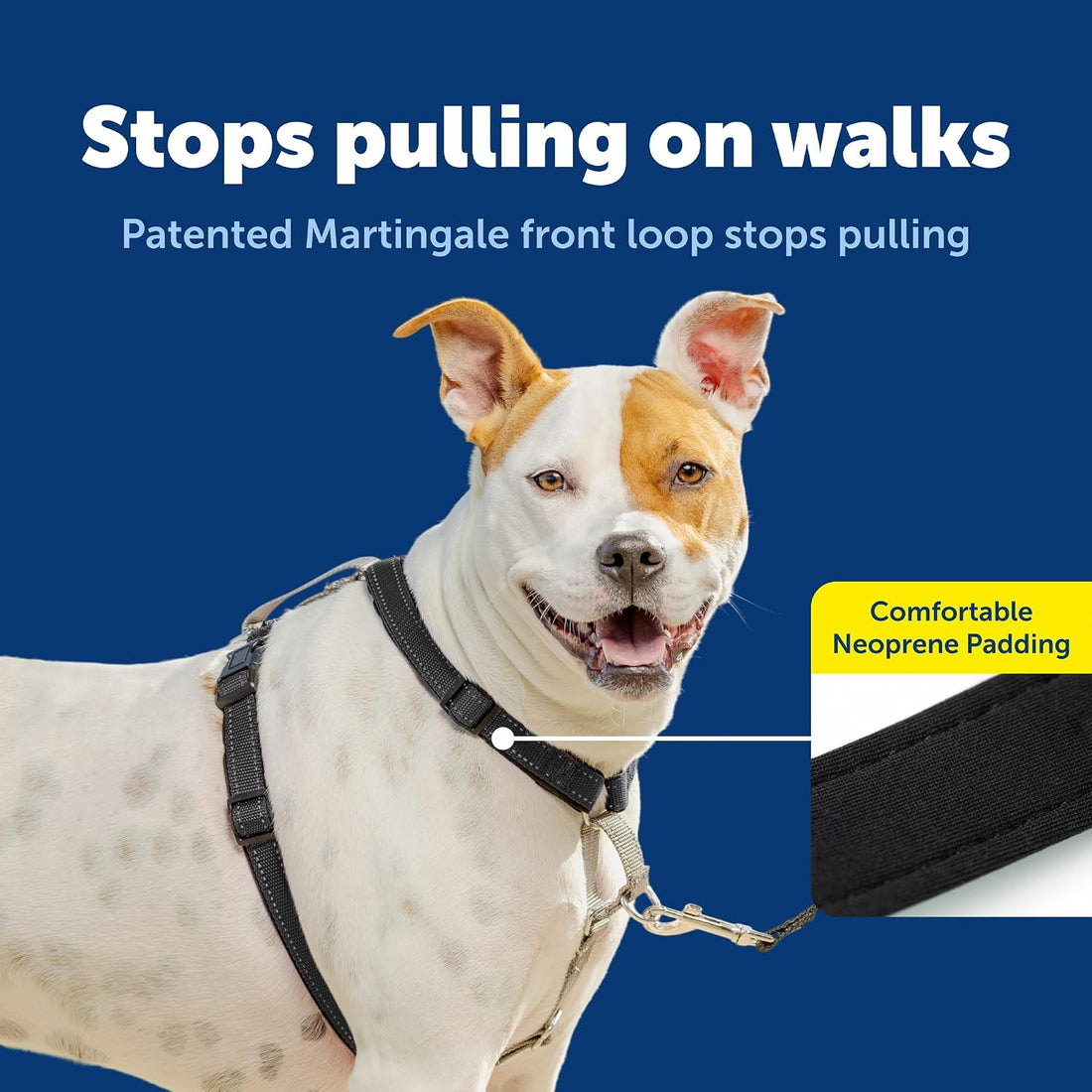 PetSafe 3 in 1 No-Pull Dog Harness for Medium Dogs - Walk