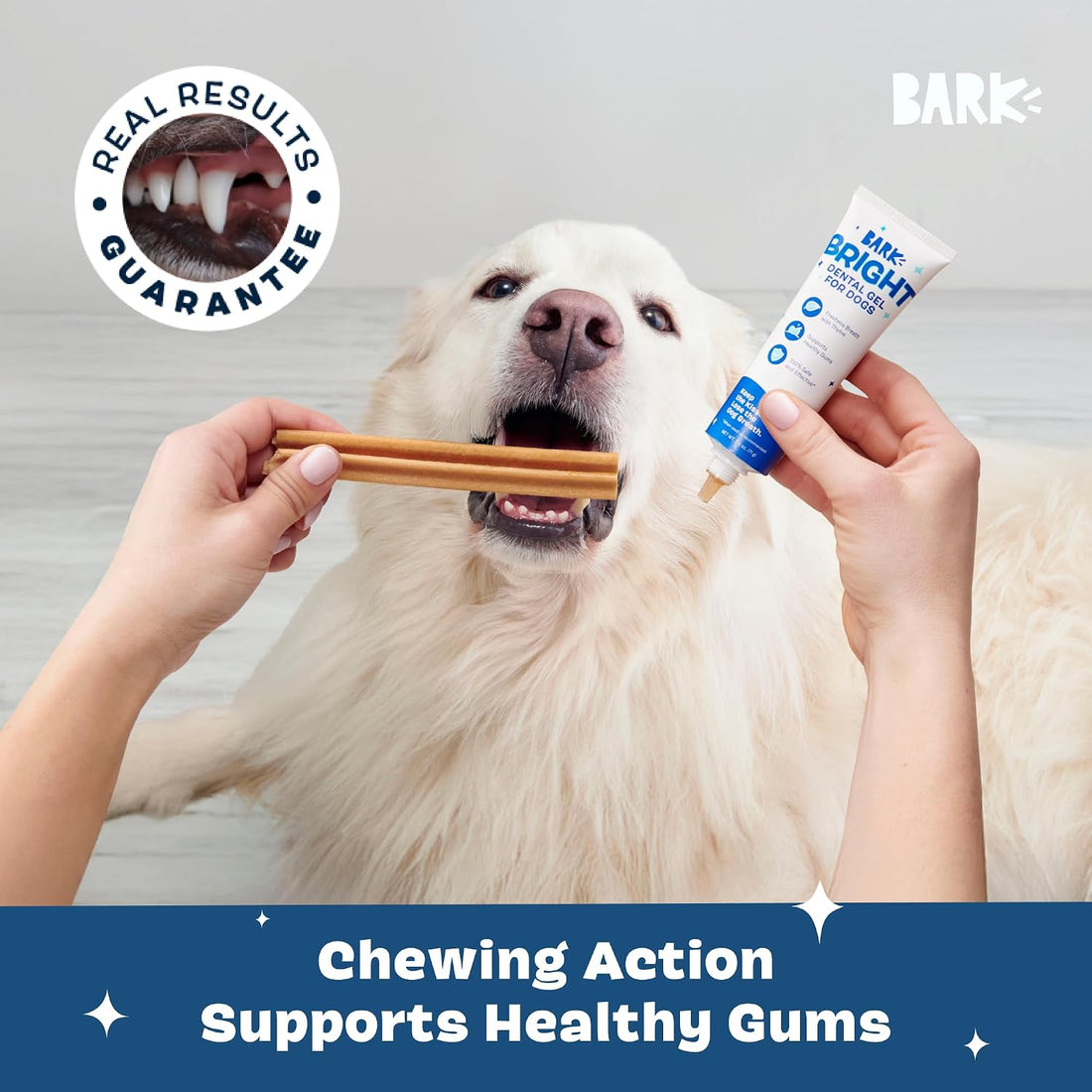 BARKBOX Bright Dental Care Kit - for Dogs - for Large Breeds (50+ lbs)