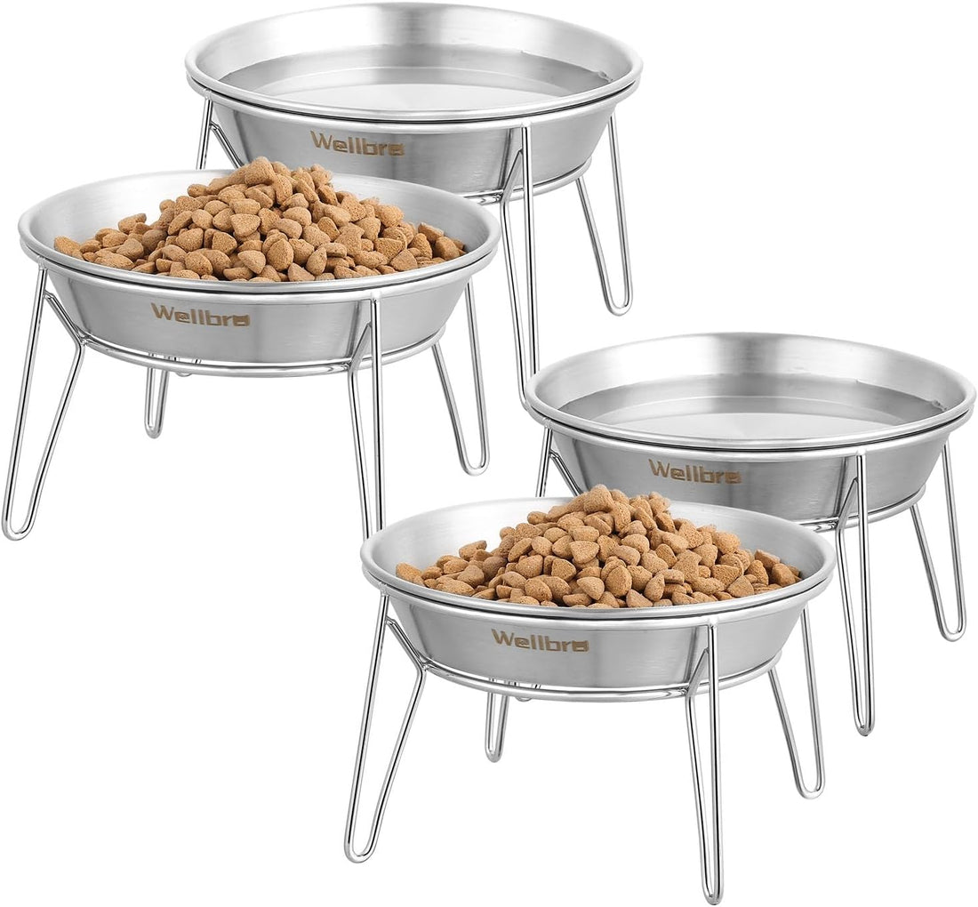 Elevated Cat Bowls, Wide Stainless Steel Cat Food Bowls with Metal