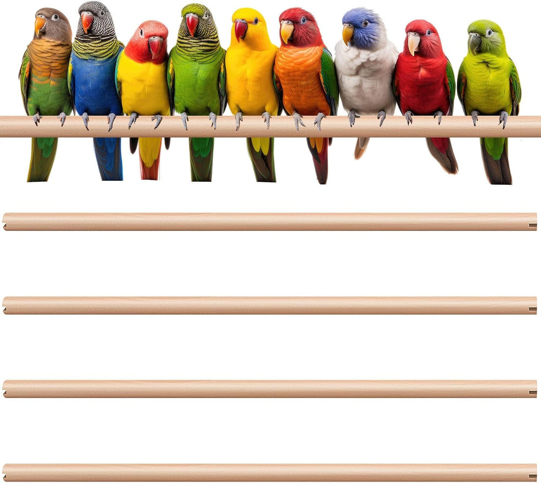 Sintuff Bird Perches Natural Wood Double Slots, 24 Inches, 4 Pcs