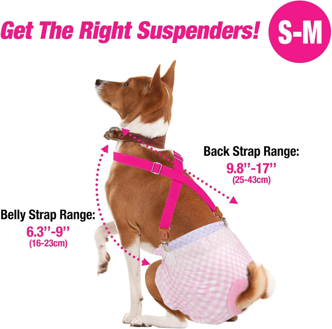 Pet Soft Dog Belly Bands Space M + Dog Suspenders 2 Pieces M