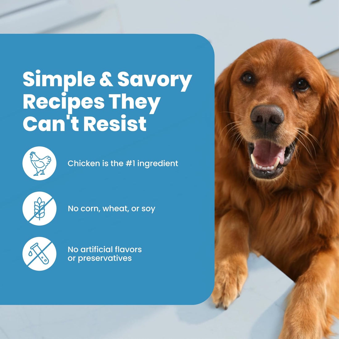 Blue Buffalo Nudges Chicken Jerky Cuts Natural Dog Treats