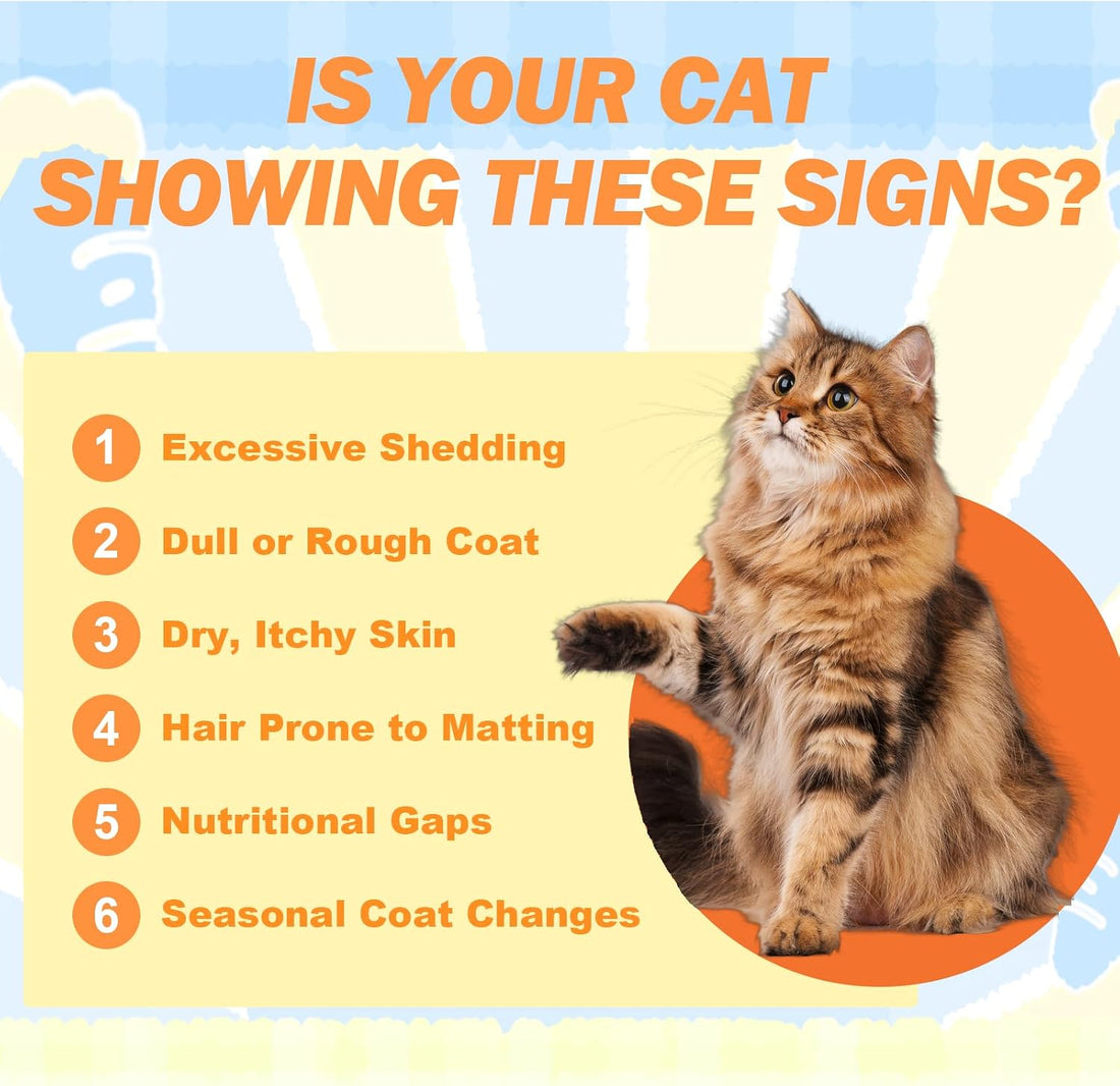 Freeze-Dried Chicken Cat Treats with Omega-3 Fish Oil Capsules