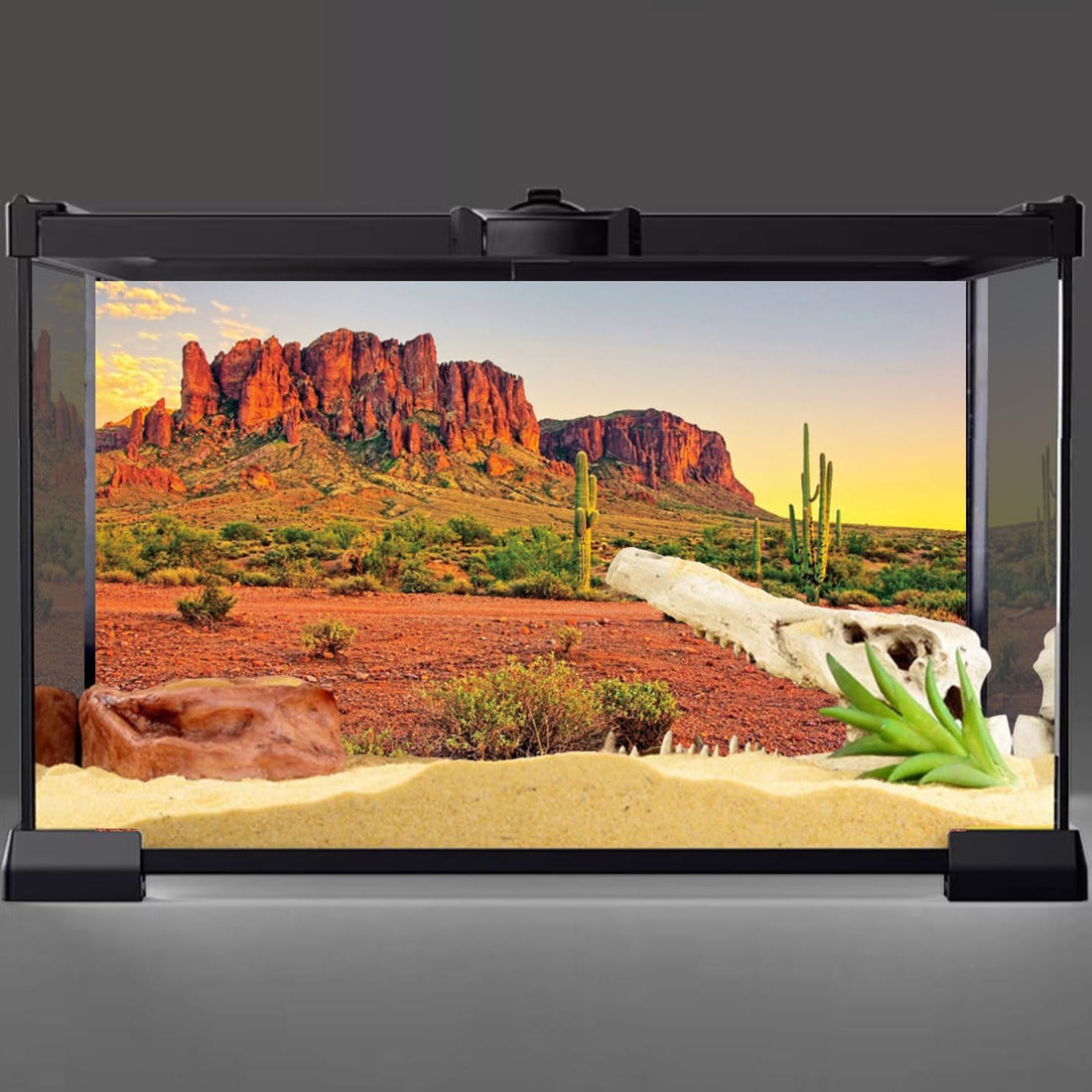 AWERT 36x18 in Terrarium Backdrop Desert Cactus Reptile Habitat