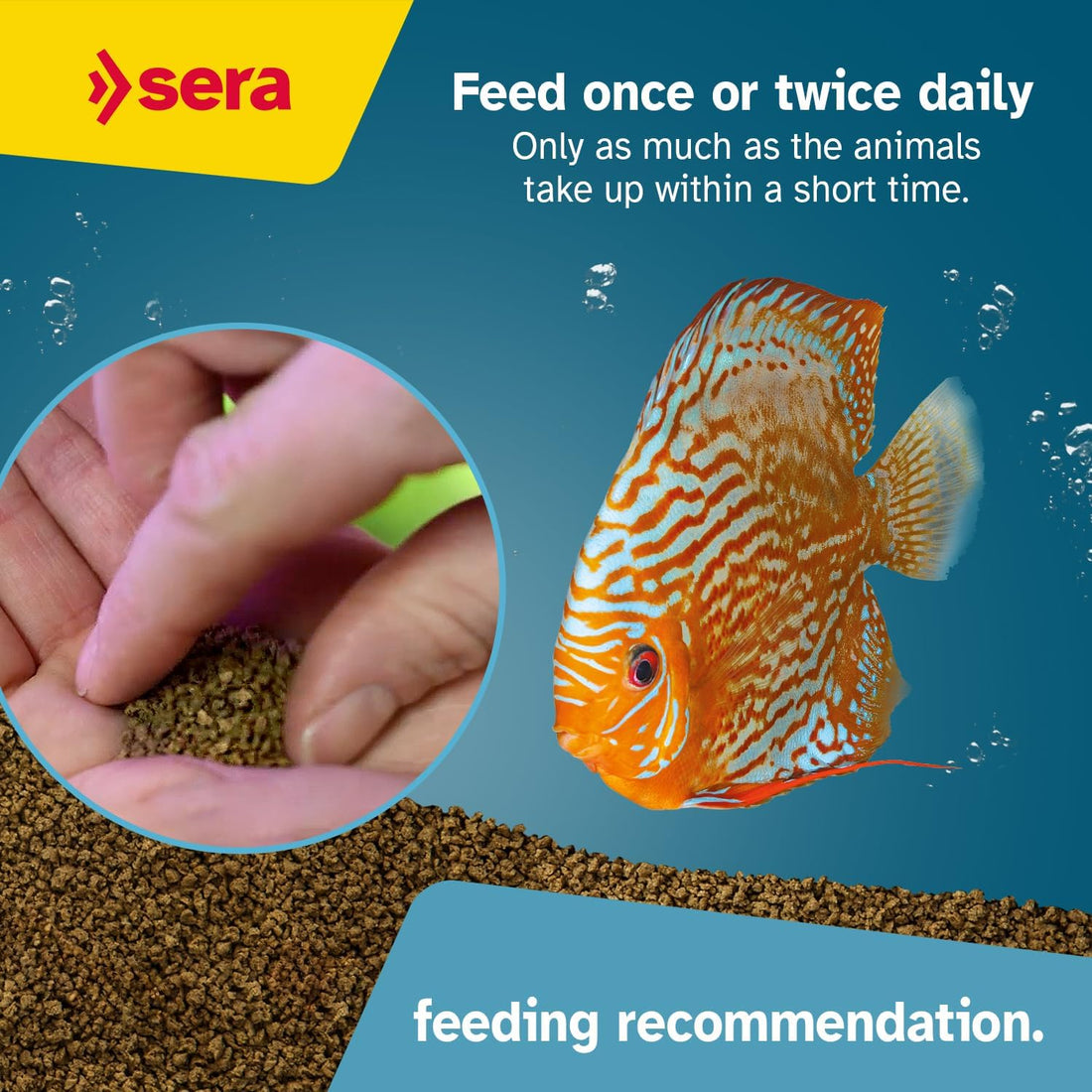 Sera Discus Granules 1000ml | Discus & Ornamental Fish Food