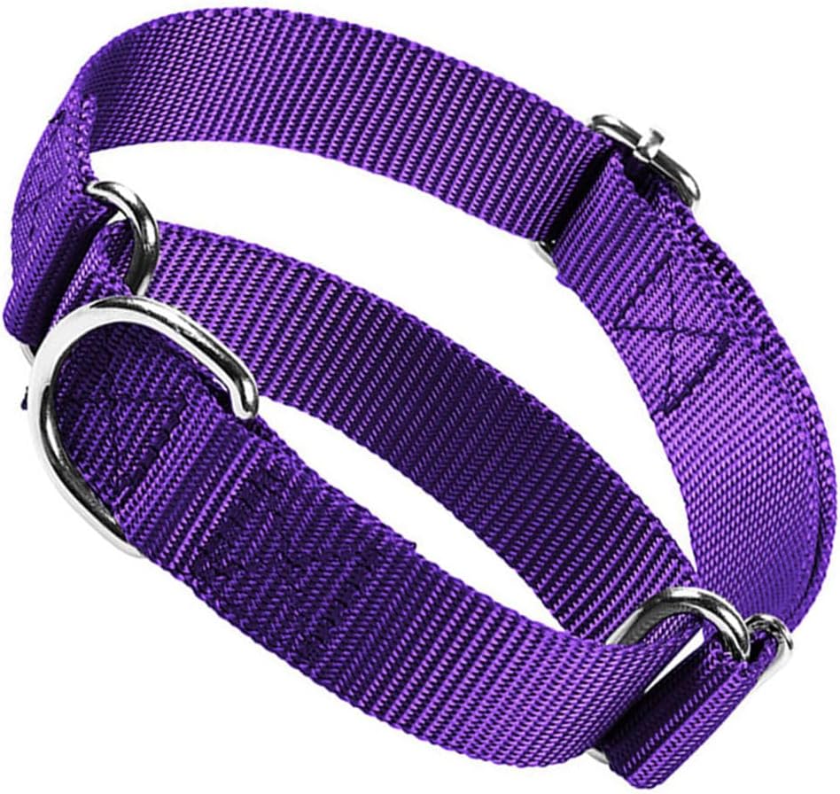 Martingale Collar for Dogs Choke Dog Choker Collars, Purple M