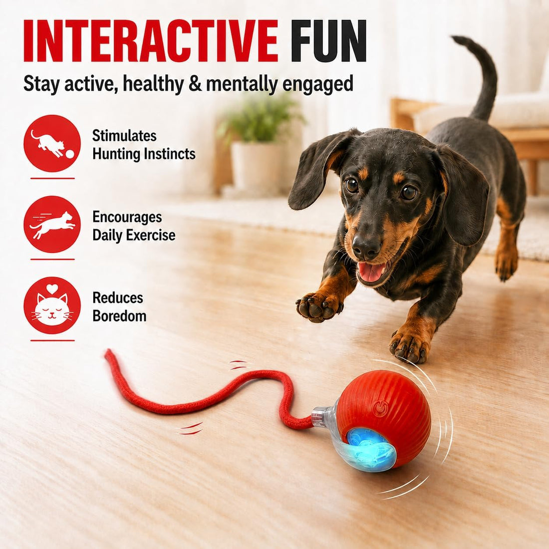 Interactive Automatic Rolling Electronic Stimulation Chase Ball Cat