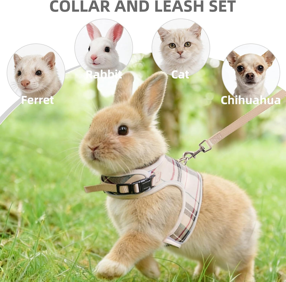 PUPTECK Bunny Rabbit Harness and Leash Set