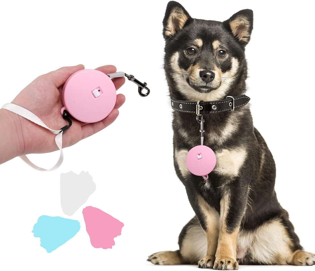 Retractable Dog Leash for Small and Medium Dogs up to 22lbs