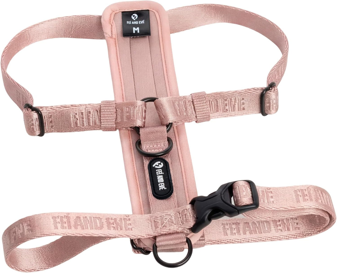 Fei & Eve Moxie Dog Harness for Small & Medium Dogs