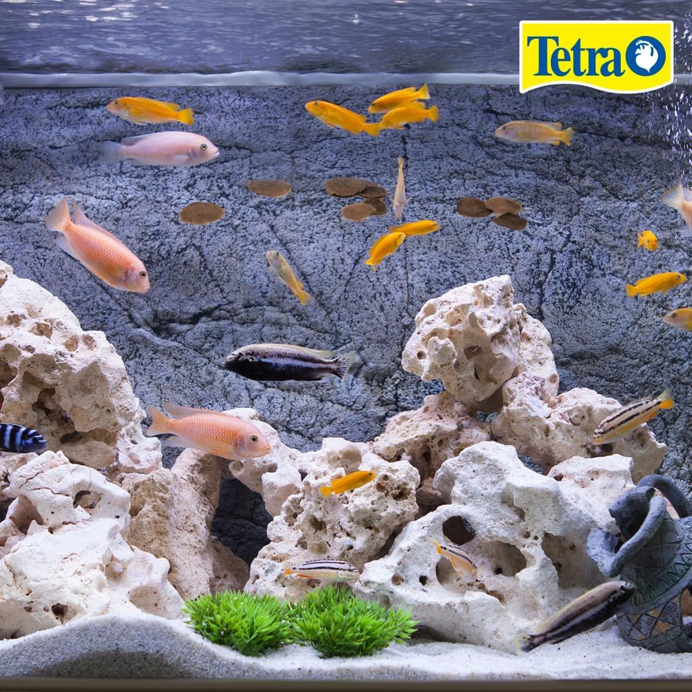 Tetra Tetra Cichlid Large Flake Food 5.65oz
