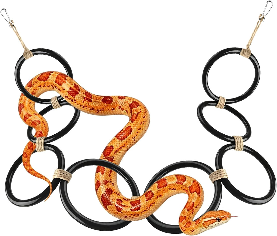 DBNESS Snake Climbing Rings, Ball Python Enclosure Enrichment Ring