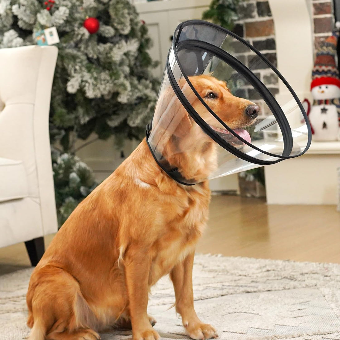 Dog Cone, Transparent Recovery Collar for Large Dogs