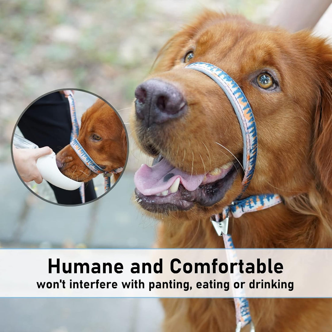 BARKLESS Dog Head Collar, Anti-Pulling Printed Head Halter with Leash