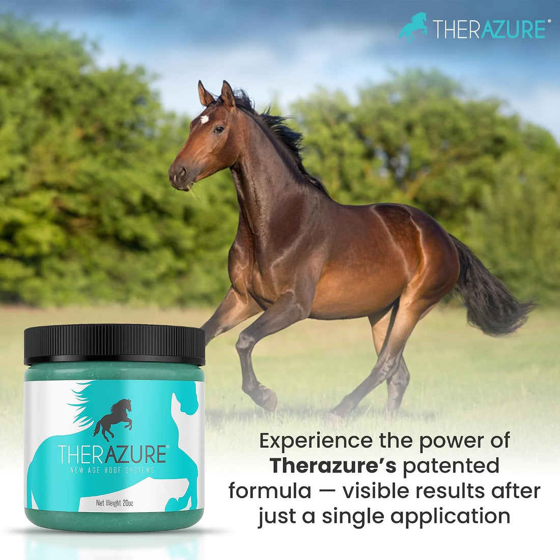 Horse Hoof Thrush Treatment Clay - 20 oz Jar