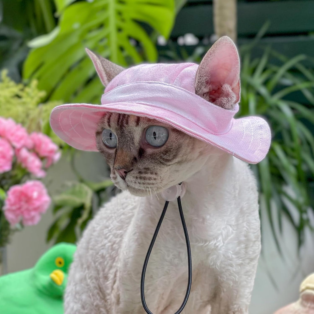 Pet hat with Ear Holes Sunscreen Baseball Cap Suitable for Small