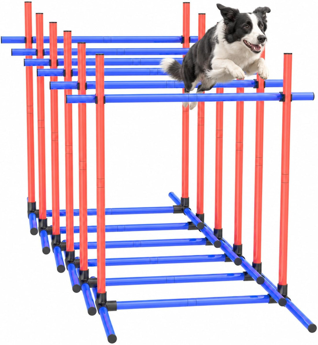 Dog Agility Equipment Set with Jumping Hoop for Agility Training