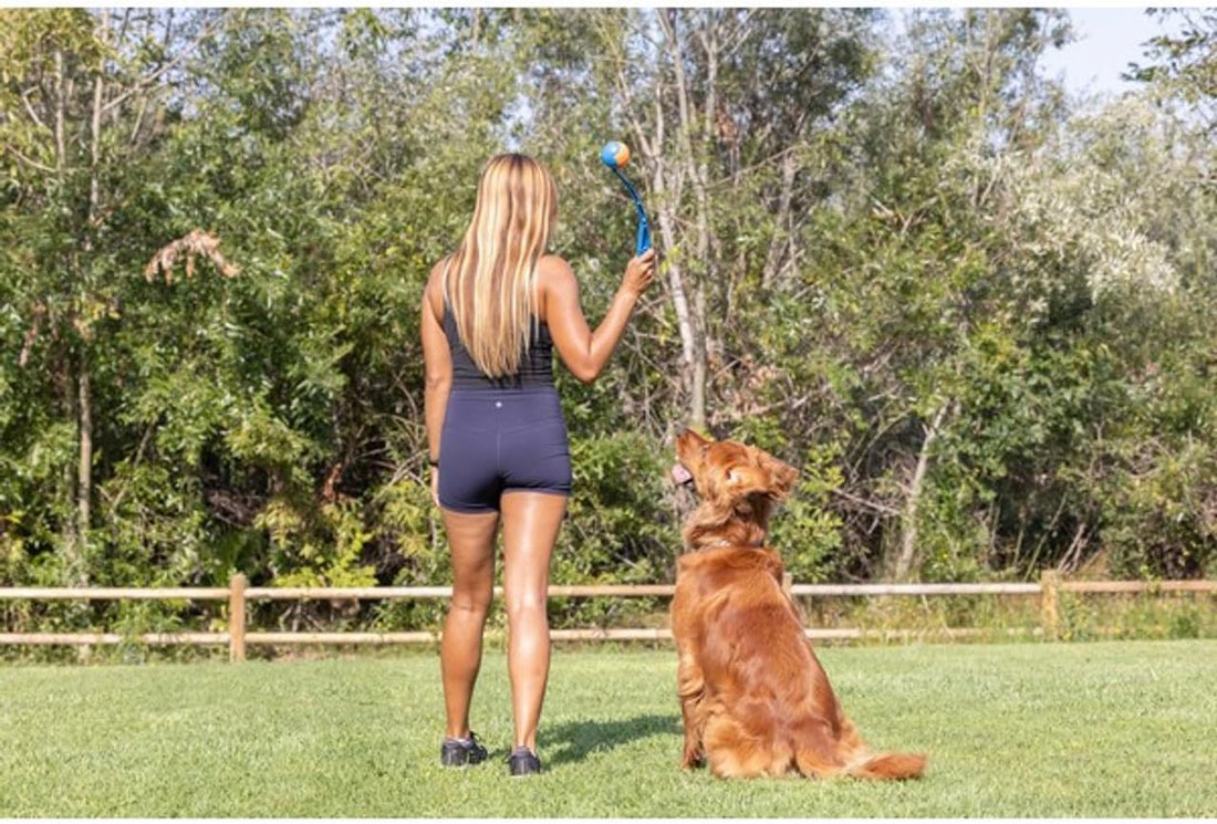 Chuckit! Dog Ball Launcher 12M Sport with 12" Handle Length